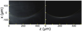 Experimental (left) and theoretical (right) accelerating beams generated by our metasurface. The radius of curvature is 400 µm.