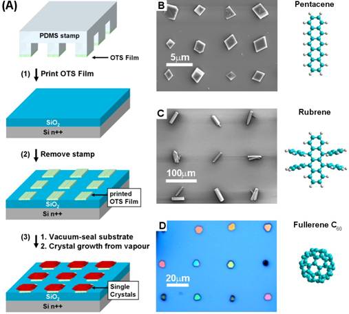   Schematic outline of the procedure:  b, Patterned single crystal arrays of Pentacene c, Rubrene d, C60