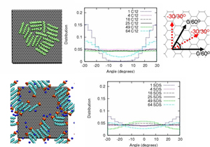 Self-Assembly of Soft Materials