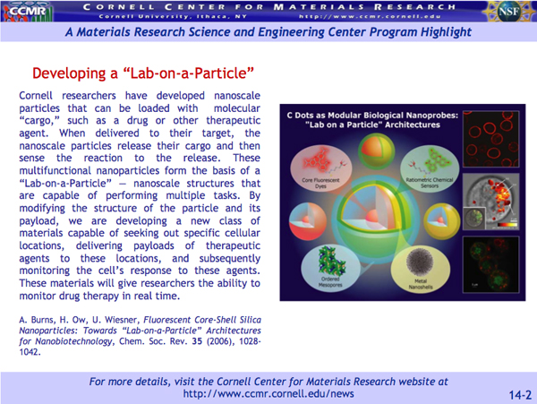 Cornell researchers have developed nanoscale particles that can be loaded with  molecular 