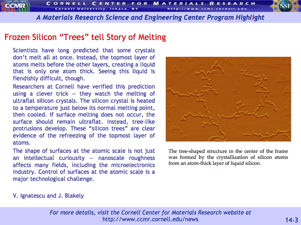 Scientists have long predicted that some crystals don't melt all at once. Instead, the topmost layer of atoms melts before the other layers, creating a liquid that is only one atom thick. Seeing this liquid is fiendishly difficult, though. Researchers at Cornell have verified this prediction using a clever trick â€” they watch the melting of ultraflat silicon crystals. The silicon crystal is heated to a temperature just below its normal melting point, then cooled. If surface melting does not occur, the surface should remain ultraflat. Instead, tree-like protrusions develop. These 