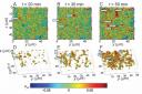 shear-transformation-zones-in-colloidal-glasses.jpg