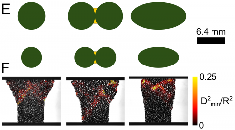 Raw images of the pillar with particles colored by their D2min value, according to the color bar.  Note that the macroscopic response, as measured by pillar shape, is the same for monomers and dimers, but is different for ellipses.