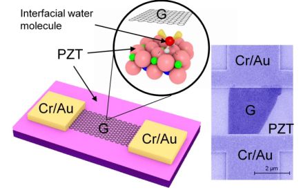 graphene FET