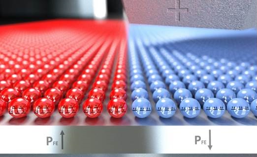 organic ferroelectric substrate