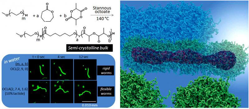 figure: Patterning within Amphiphilic Self-Assemblies using Charge, Curvature, and Crystallinity