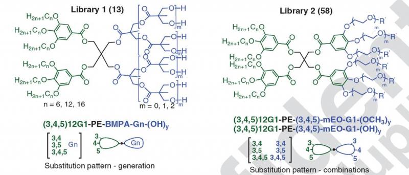 Two of nine dendrimer families synthesized