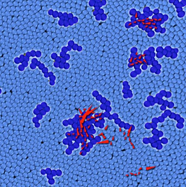 In a dense disordered packing, the particles labeled in dark blue belong to soft spots that have a propensity to fail via particle rearrangements.  The red arrows mark particles that actually rearrange when the system is placed under a mechanical load.  This image shows that rearrangements tend to occur at soft spots.