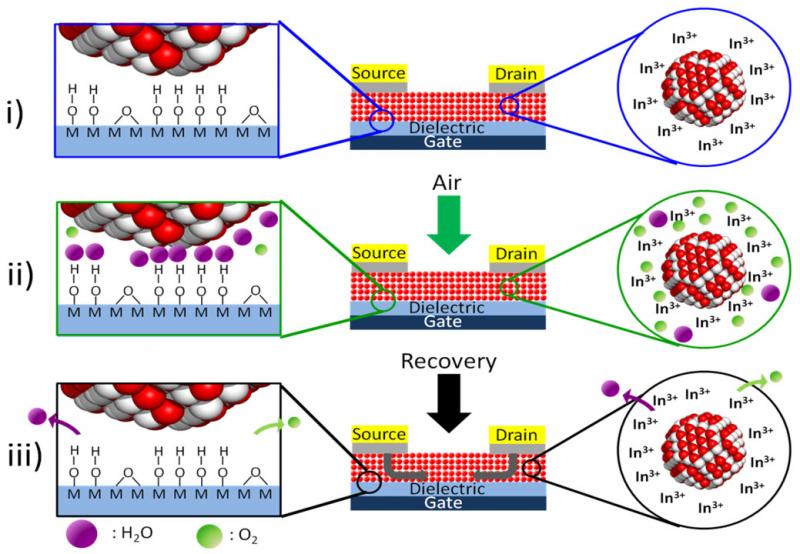 Figure 1 - Schematic of nanocrystal transistor recovery. (i) In-doped CdSe nanocrystals are (ii) exposed to air, adsorbing oxygen and water at the NC and gate oxide surfaces, and are (iii) recovered upon annealing under nitrogen, as oxygen and water desorb and additional indium diffuses in from the electrodes. 