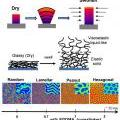 Spontaneous Buckling of Synthetic Gels with Depth-wise Crosslinking Gradient 