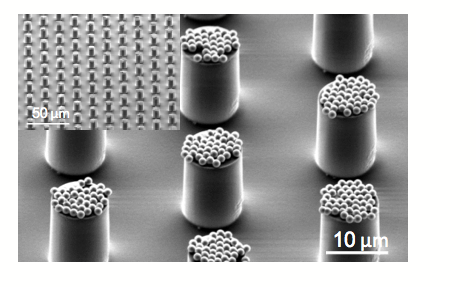 Silica beads  adhere to specific  polymer surfaces